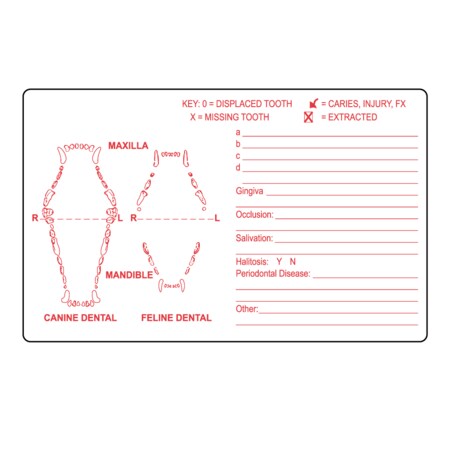 Nevs Dental Label 2-1/2" x 4" White w/Red VW-0081